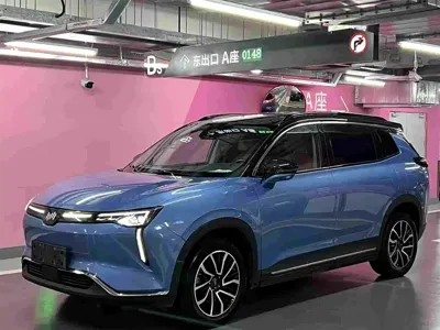 WM Motor W6