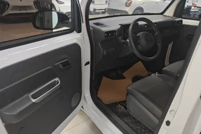 Wuling Zhiguang New Energy