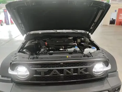 Tank Tank 300L New Energy