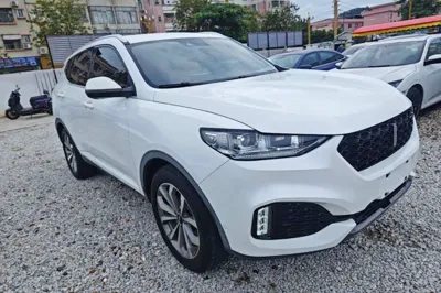 WEY VV6