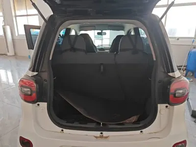 FERRAL EV