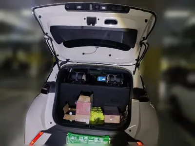 BYD Seagull