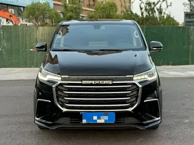 大通 G20