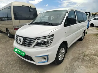 Fengxing Lingzhi New Energy