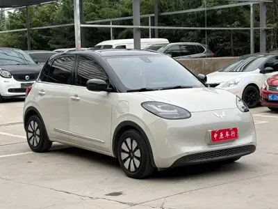 Wuling Bingo