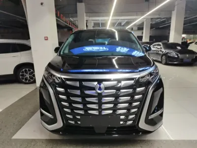 Denza D9