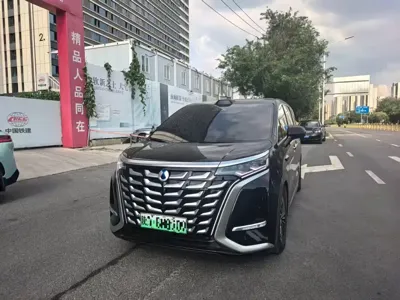 Denza Denza D9