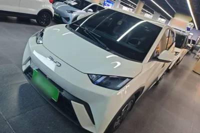 BYD Seagull