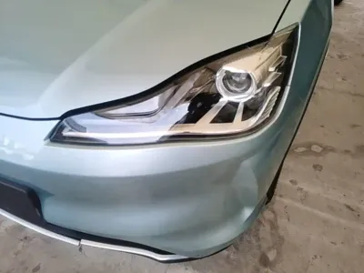 NETA Neta V