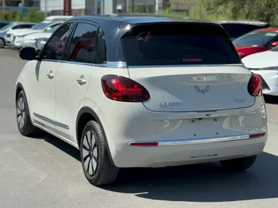Wuling Bingo