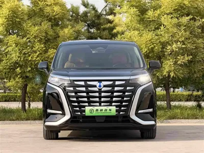 Denza Denza D9