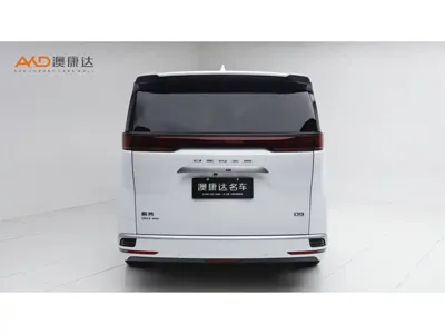 Denza Denza D9