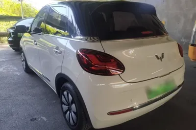 Wuling Bingo