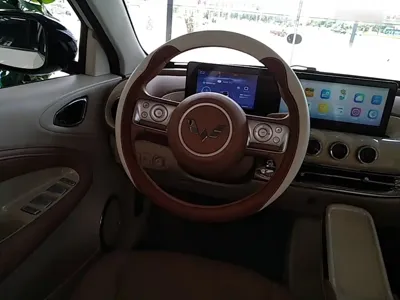 Wuling Bingo