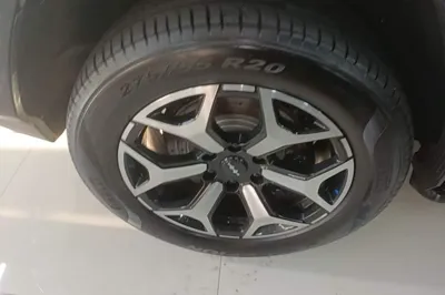 Formula Leopard Leopard 8