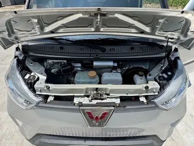 Wuling Wuling EV50