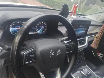 Hongqi Hongqi E-HS3
