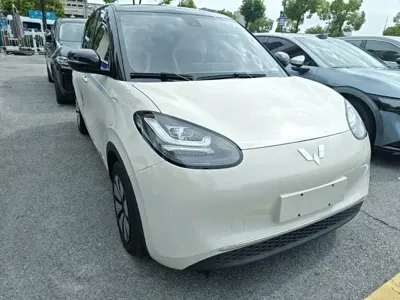 Wuling Bingo