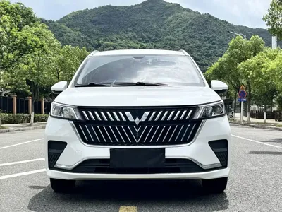 Wuling Jiachen