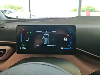 BYD Seagull
