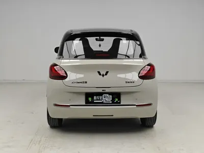 Wuling Bingo