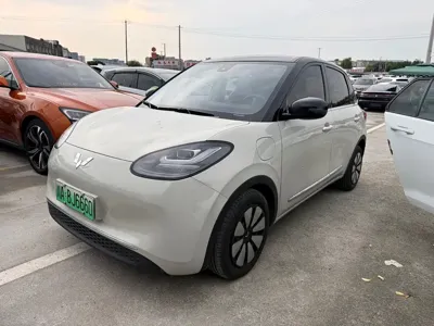 Wuling Bingo