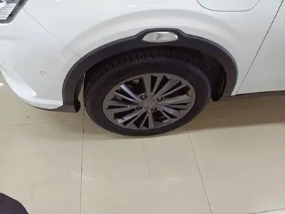 NETA Neta V