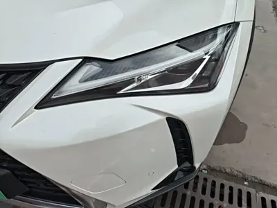 Lexus UX New Energy