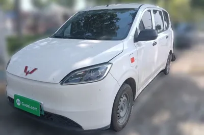 Wuling Hongguang New Energy