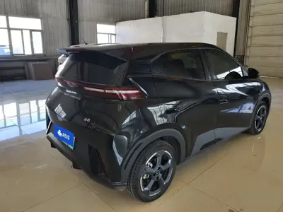 BYD Seagull