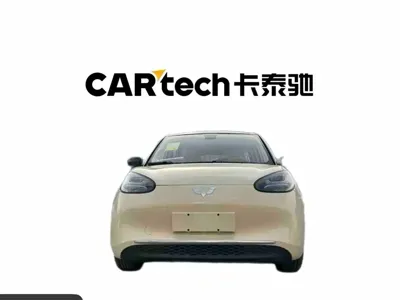 Wuling Bingo