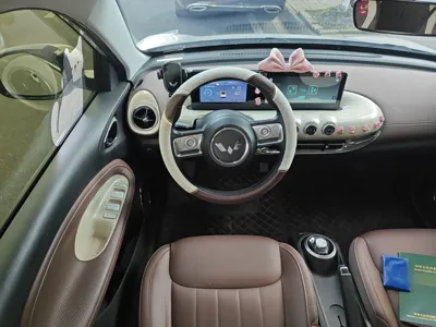 Wuling Bingo