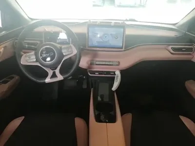 BYD Seagull