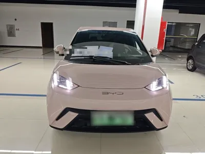 BYD Seagull