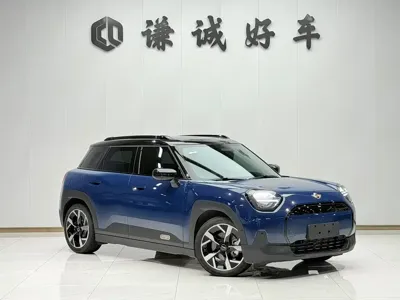 MINI MINI ACEMAN EV