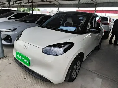 Wuling Bingo