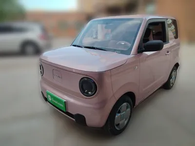 Geely Galaxy Panda