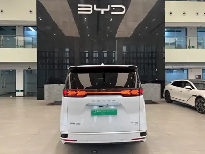 Denza Denza D9