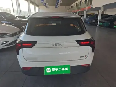 NETA Neta V