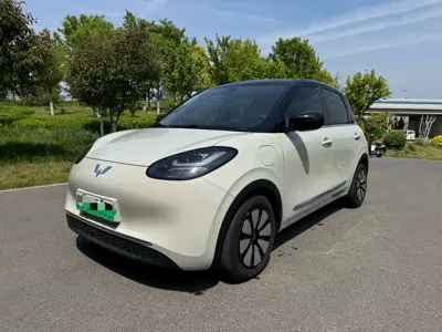 Wuling Bingo