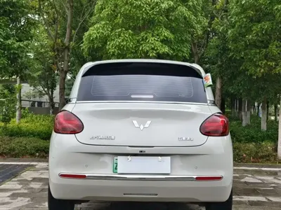Wuling Bingo