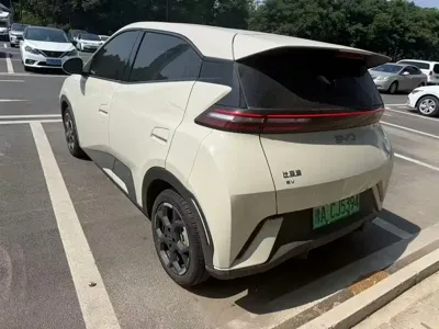 BYD Seagull