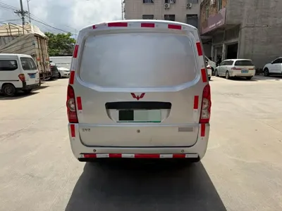 Wuling Wuling EV50