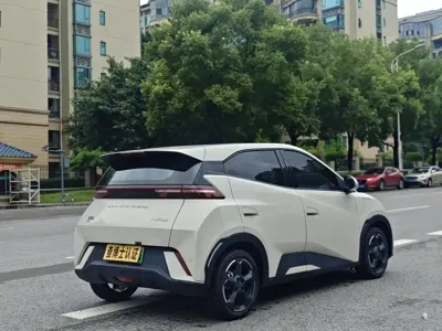 BYD Seagull