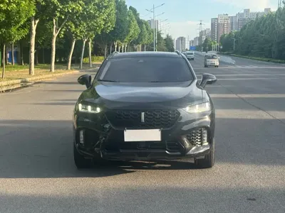 WEY Wey VV7