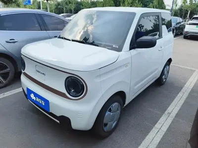 Galaxy Panda