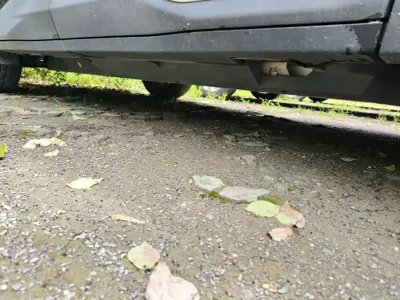 NETA Neta U