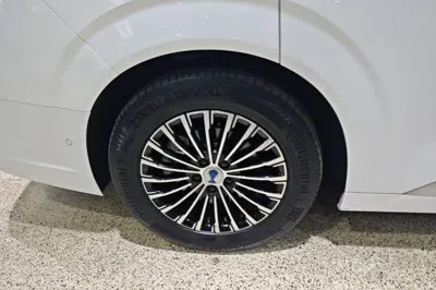 Denza D9