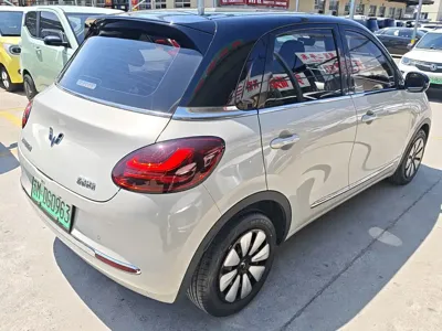 Wuling Bingo