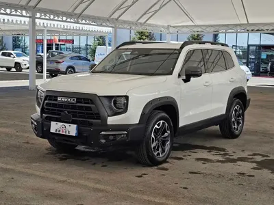 Haval Big Dog